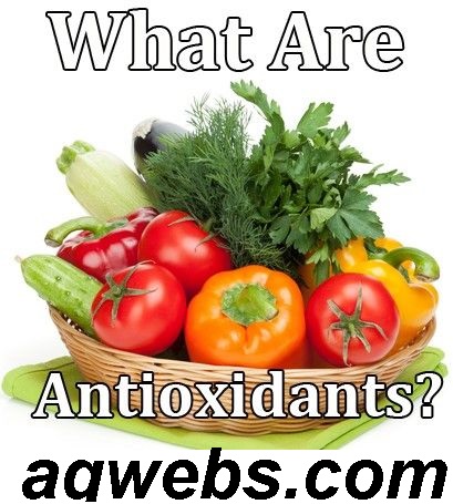 What Are Antioxidants