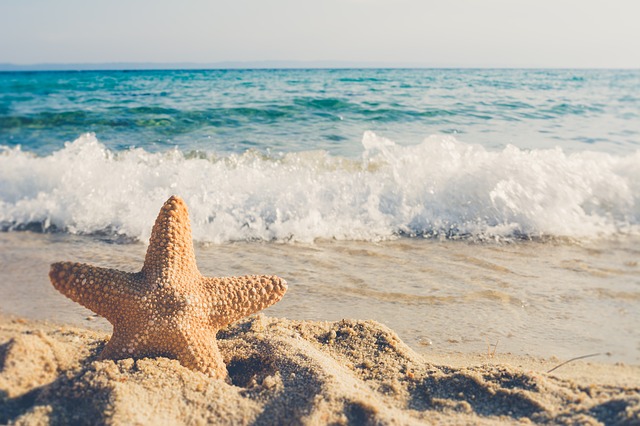 Starfishes on the Beach - Short Inspirational Stories