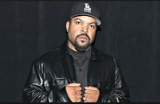 Ice cube net worth