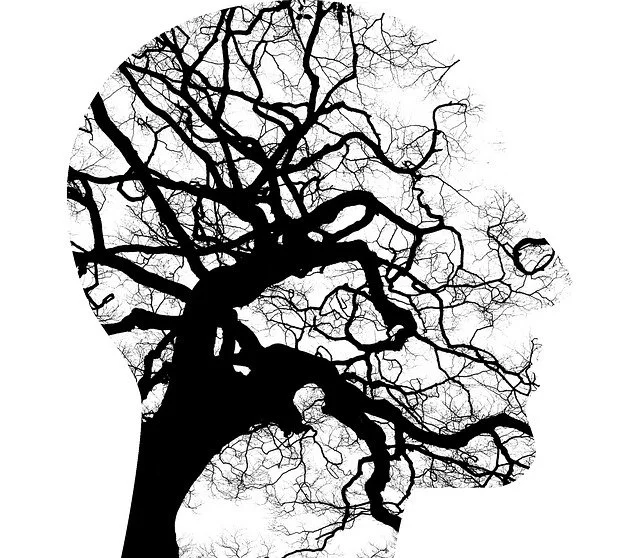 Research finds adverse effects of Stress on Decision Making