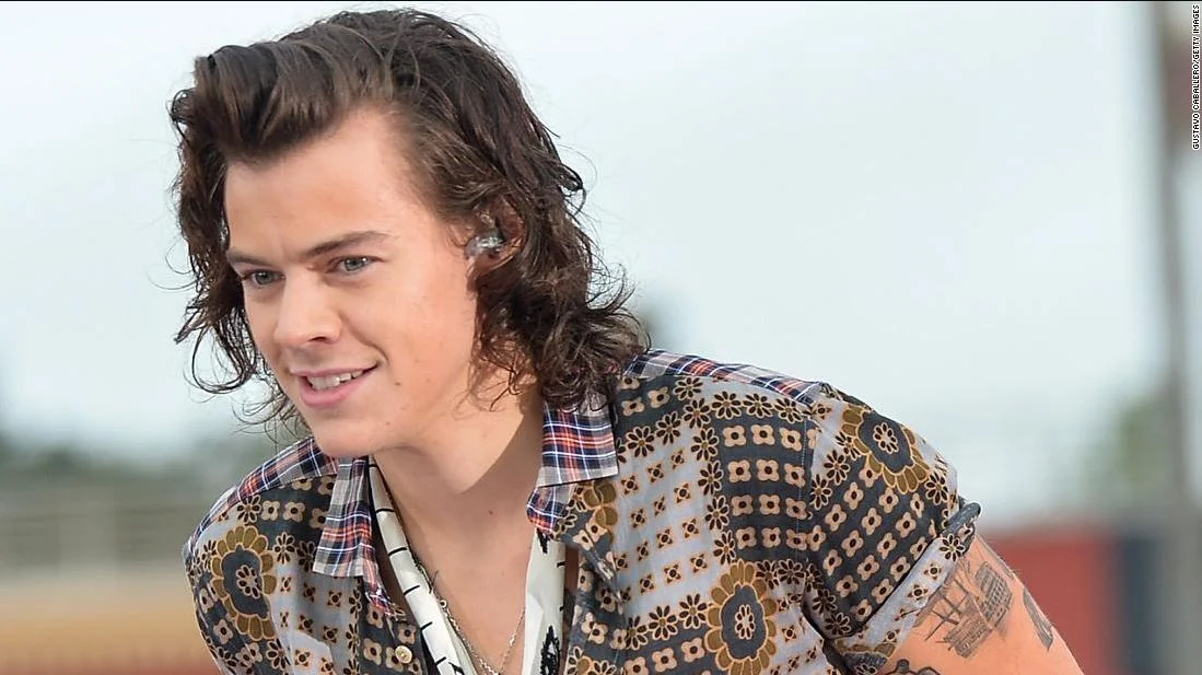 Harry Style Net Worth